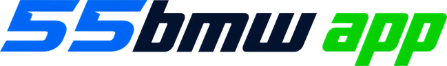 55bmw app official logo